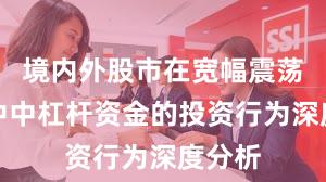 境内外股市在宽幅震荡周期中中杠杆资金的投资行为深度分析